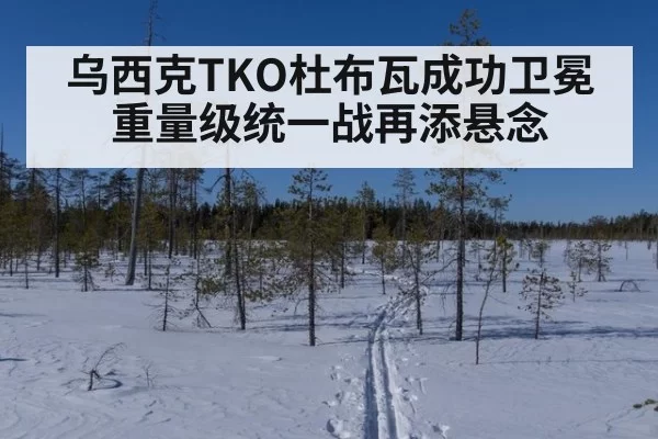 乌西克TKO杜布瓦成功卫冕 重量级统一战再添悬念